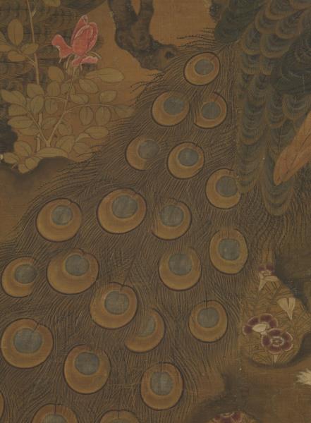 宋崔白畫枇杷孔雀　軸