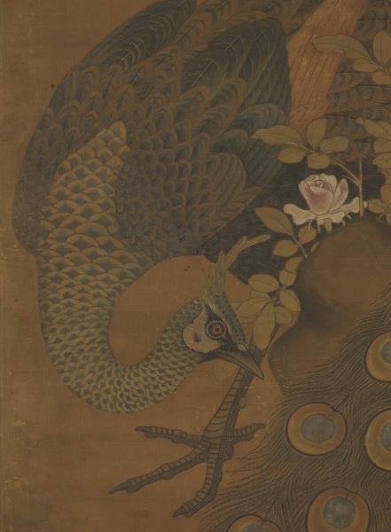 宋崔白畫枇杷孔雀　軸