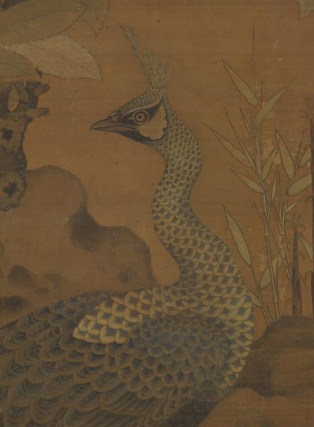 宋崔白畫枇杷孔雀　軸