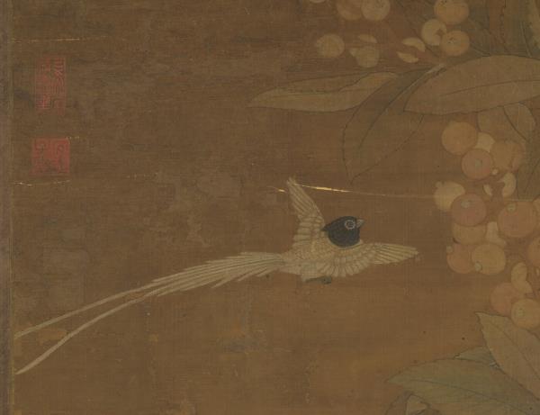 宋崔白畫枇杷孔雀　軸
