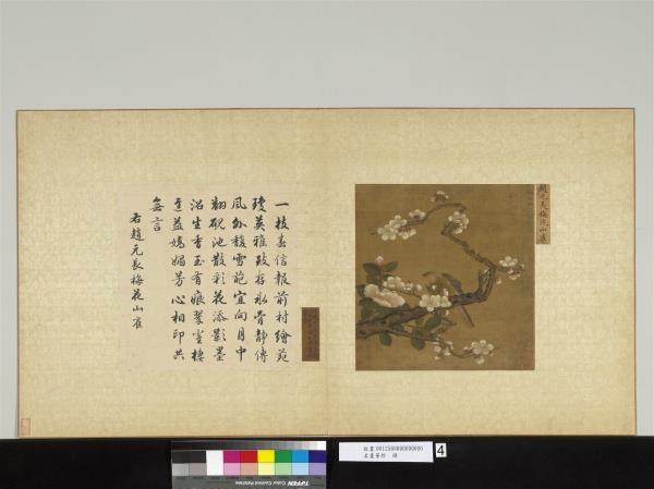 名畫薈珍　冊　宋趙元長梅花山雀