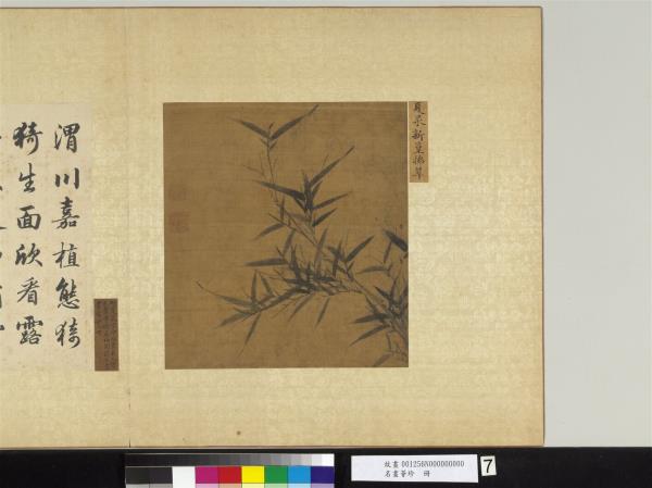 名畫薈珍　冊　明夏昶新篁拂翠