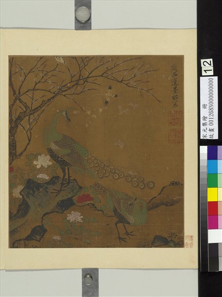 宋元集繪　冊　明邊文進孔雀