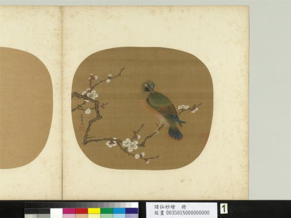 諸仙妙繪　冊　五代後蜀黃筌白梅山鳥