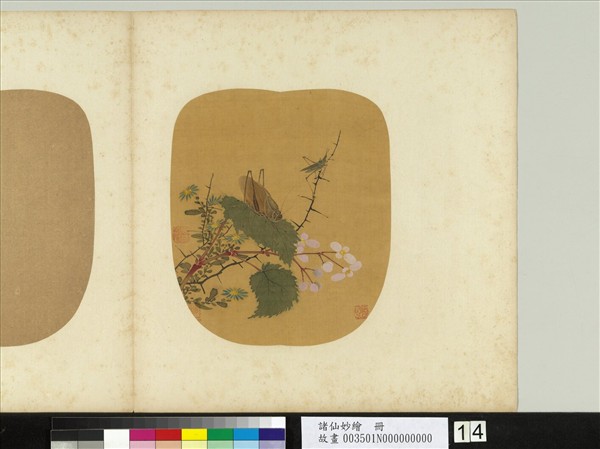 諸仙妙繪　冊　無款海棠螽斯