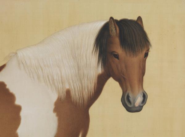 清郎世寧畫十駿圖籋雲駛　軸