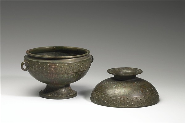 三角菱紋乳丁豆