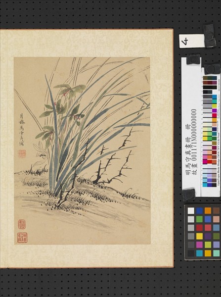 明馬守真畫冊　冊　荊棘叢蘭