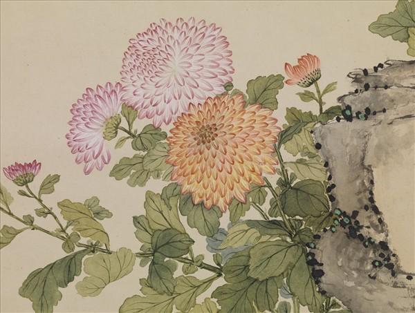 清鄒一桂畫菊　軸