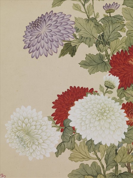 清鄒一桂畫菊　軸