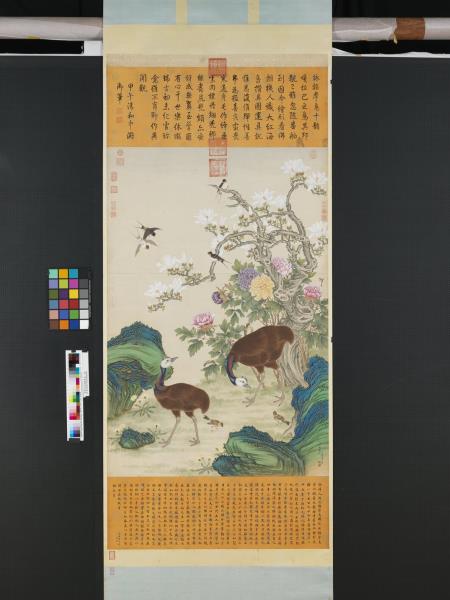 清楊大章畫額摩鳥　軸