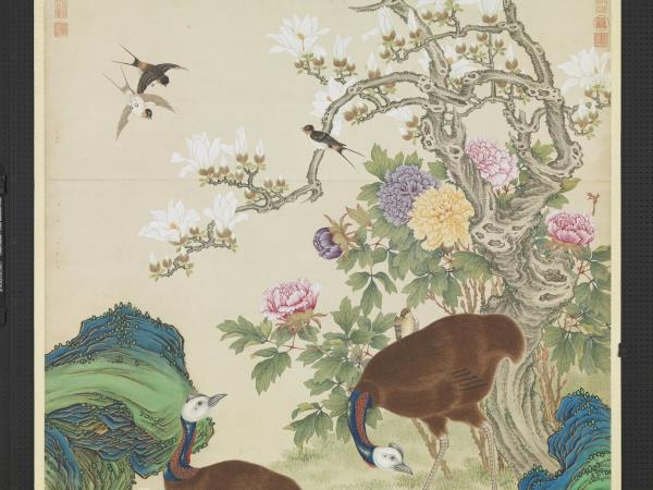 清楊大章畫額摩鳥　軸