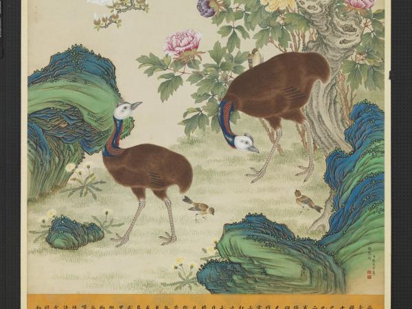 清楊大章畫額摩鳥　軸