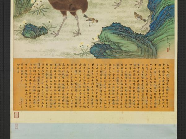 清楊大章畫額摩鳥　軸