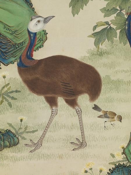 清楊大章畫額摩鳥　軸