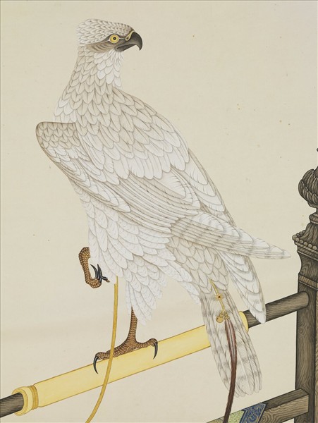 清楊大章畫白鷹　軸