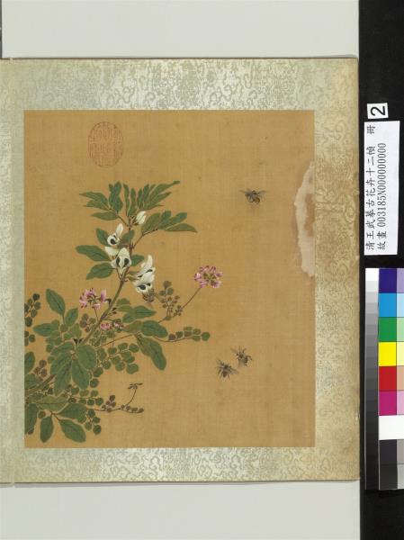 清王武摹古花卉十二幀　冊　豆花紫花地丁