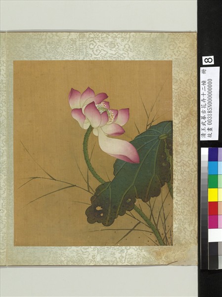 清王武摹古花卉十二幀　冊　荷