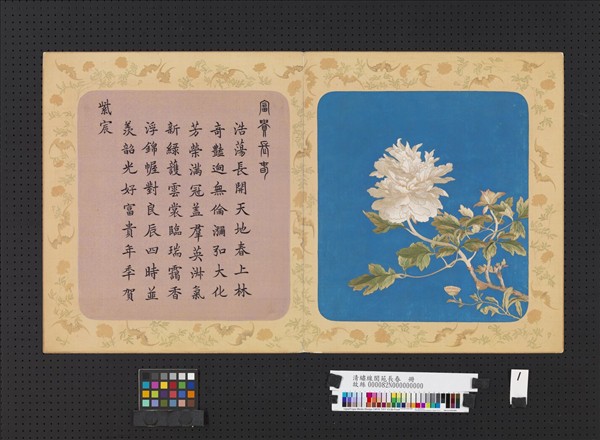 清繡線閬苑長春　冊　富貴長春