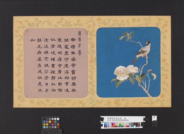 清繡線閬苑長春　冊　犀角千苞