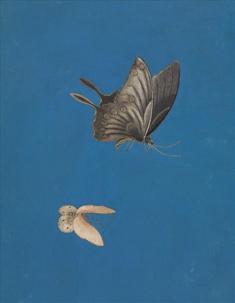 清繡線閬苑長春　冊　秀發華顏