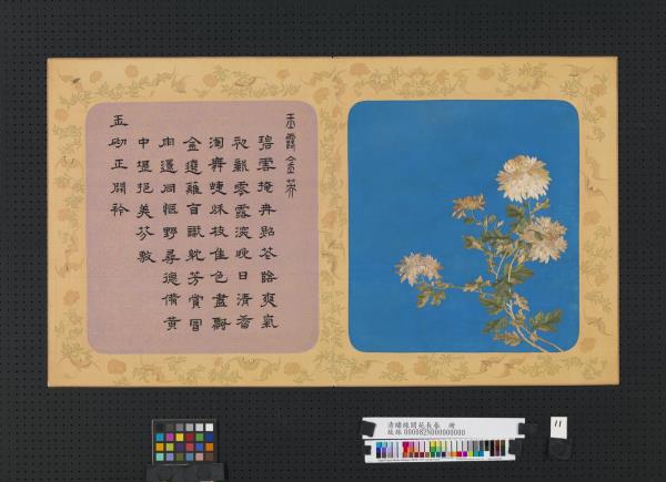 清繡線閬苑長春　冊　玉露金英