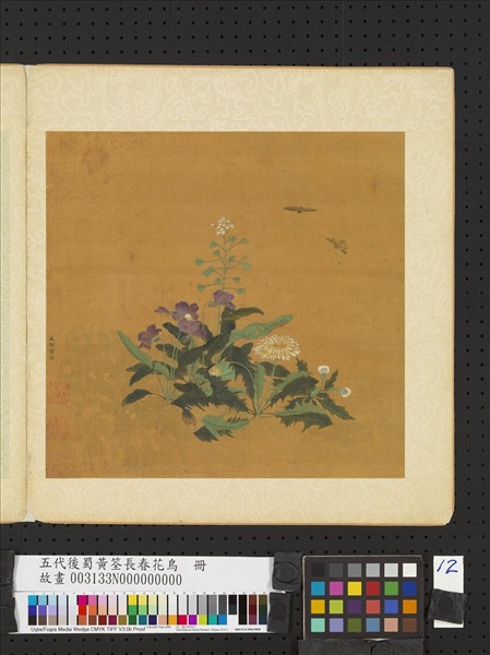 五代後蜀黃筌長春花鳥　冊　薺菜蒲公英