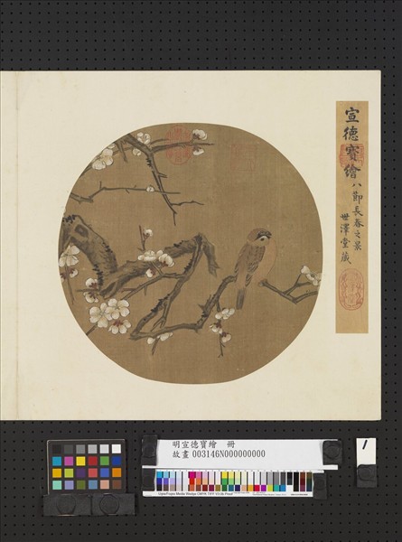 明宣德寶繪　冊　梅花麻雀