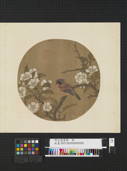 明宣德寶繪　冊　梨花小鳥