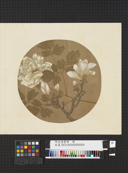 明宣德寶繪　冊　玉蘭牡丹