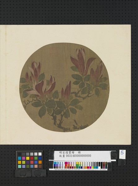 明宣德寶繪　冊　辛夷花