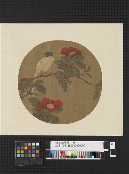 明宣德寶繪　冊　壽帶茶花