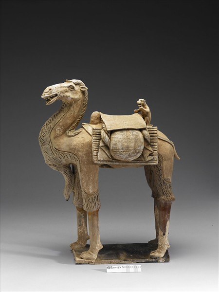 加彩駱駝俑