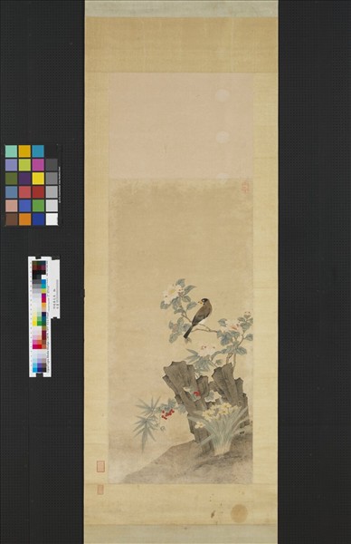 明趙壽花鳥　軸