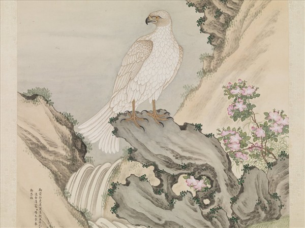 清楊大章畫白鷹　軸