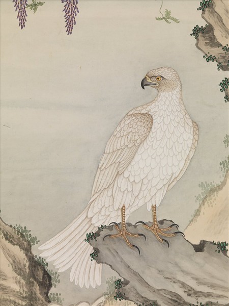 清楊大章畫白鷹　軸