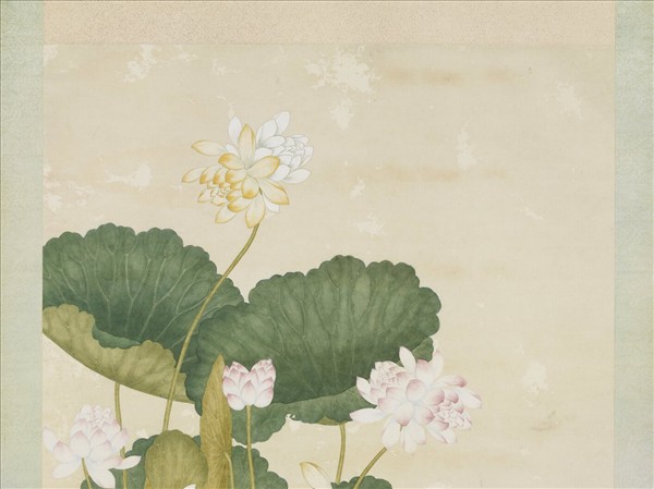 清沈世傑荷花　軸