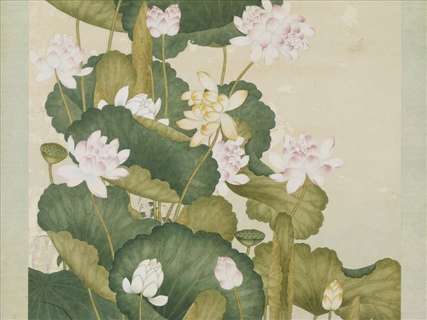 清沈世傑荷花　軸