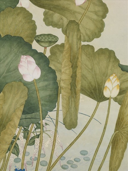 清沈世傑荷花　軸