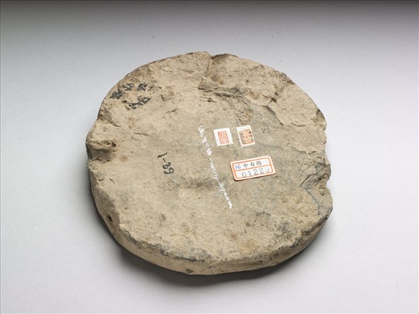 花卉紋瓦當殘片