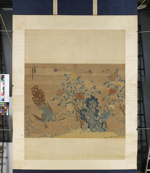 宋緙絲孔雀圖　軸