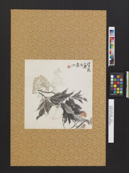 清任伯年花果　單片