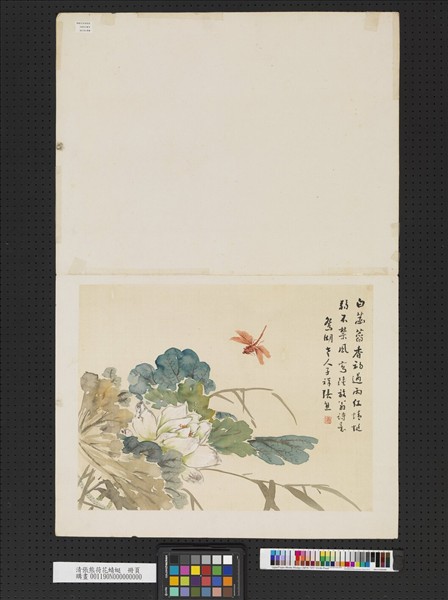 清張熊荷花蜻蜓　冊頁