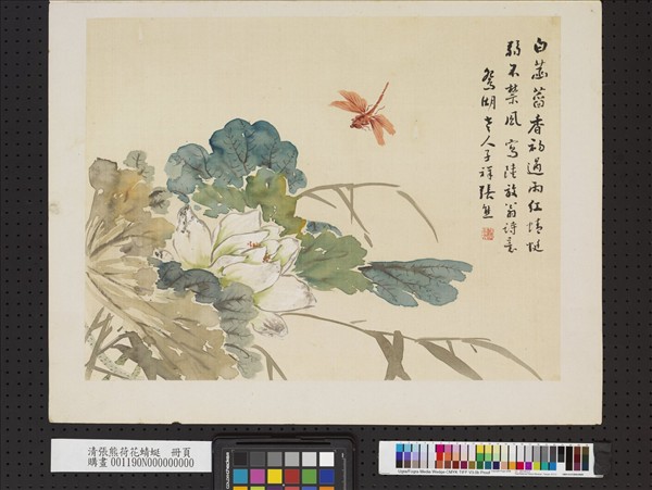 清張熊荷花蜻蜓　冊頁