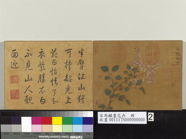 宋馬麟畫花卉　冊　上苑韶光