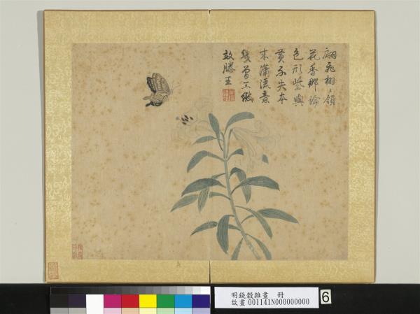 明錢穀雜畫　冊　蝴蝶百合花