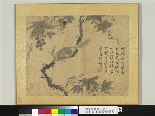 明錢穀雜畫　冊　葡萄松鼠
