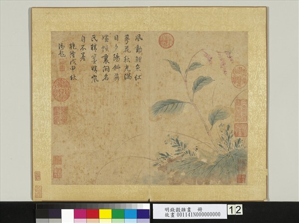 明錢穀雜畫　冊　蓼花殘荷