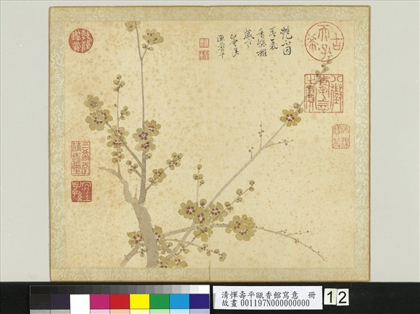 清惲壽平甌香館寫意　冊　蠟梅