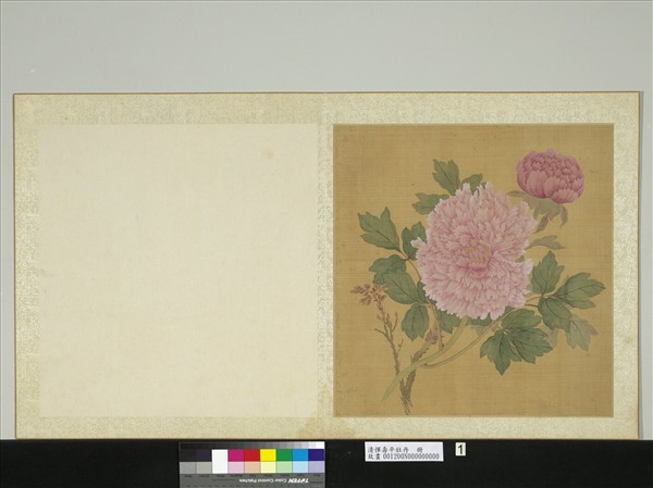 清惲壽平牡丹　冊　牡丹（一）